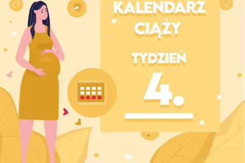 Kobieta w 4 miesiącu ciąży, z widocznym brzuszkiem. Obok kalendarz i napis "Kalendarz ciąży, tydzień 4.".