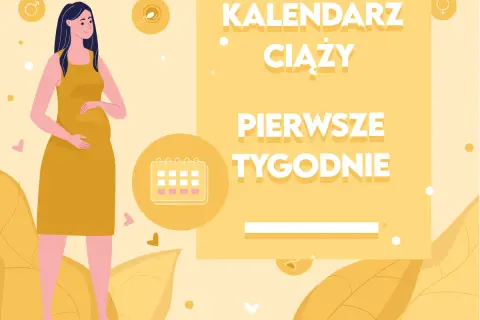 Ilustracja przedstawia ciężarną kobietę i kalendarz ciąży. Tekst informuje o pierwszych tygodniach ciąży.