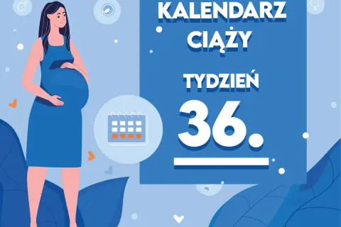Kobieta w niebieskiej sukience, w 36. tygodniu ciąży, z kalendarzem.