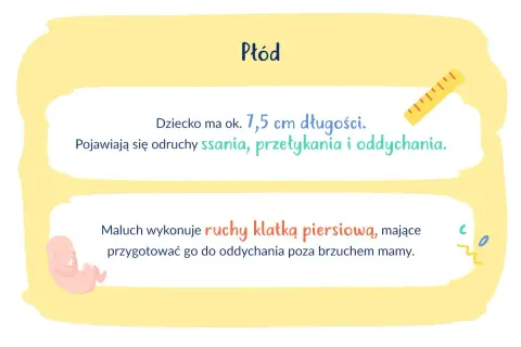 13 tydzień ciąży: Płód ma 7,5 cm, rozwija odruchy ssania i oddychania, ćwicząc ruchy klatką piersiową.