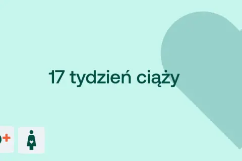17 tydzień ciąży to już połowa czwartego miesiąca. Na jasnym tle serce i ikony D+ oraz kobiety w ciąży.