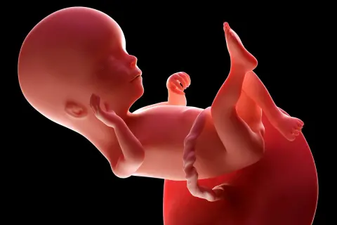 Płód w 16 tygodniu ciąży, który to miesiąc? Rozwija się w łonie matki, gotowy na kolejne etapy.