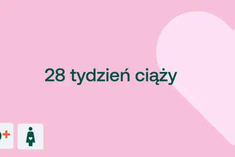 28 tydzień ciąży to już 7 miesiąc. Różowe tło z sercem i ikonami D+ oraz kobiety w ciąży.