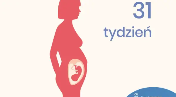 Sylwetka kobiety w ciąży, widoczny płód w brzuchu. Napis "31 tydzień".