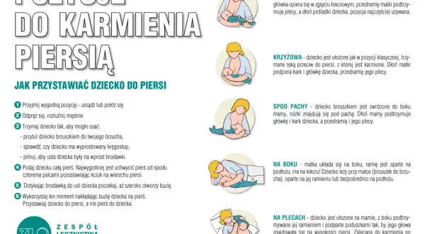 Ilustracje pokazują różne pozycje do karmienia piersią, pomagając ustalić, co ile karmić noworodka.