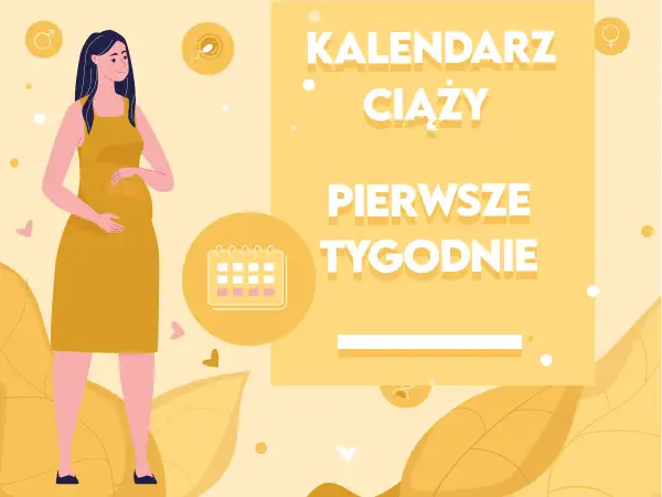 Ilustracja przedstawia ciężarną kobietę i kalendarz ciąży. Tekst informuje o pierwszych tygodniach ciąży.