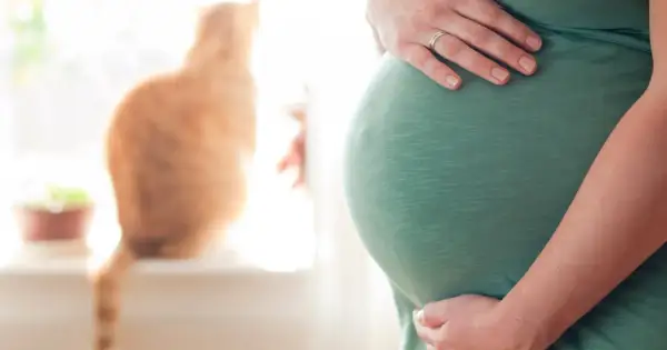 Brzuszek w 19 tygodniu ciąży, otoczony troską przyszłej mamy i ciekawością rudego kota.