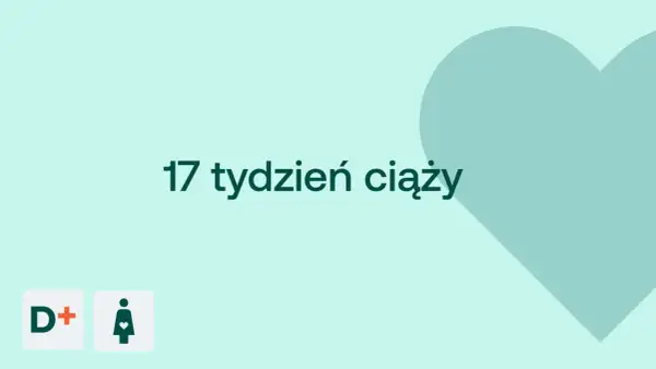 17 tydzień ciąży to już połowa czwartego miesiąca. Na jasnym tle serce i ikony D+ oraz kobiety w ciąży.