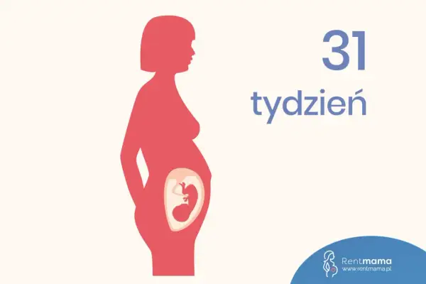 Sylwetka kobiety w ciąży, widoczny płód w brzuchu. Napis "31 tydzień".