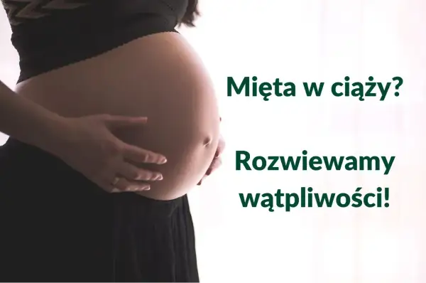 Brzuch kobiety w ciąży, z dłońmi delikatnie go obejmującymi. Tekst: Mięta w ciąży? Rozwiewamy wątpliwości!
